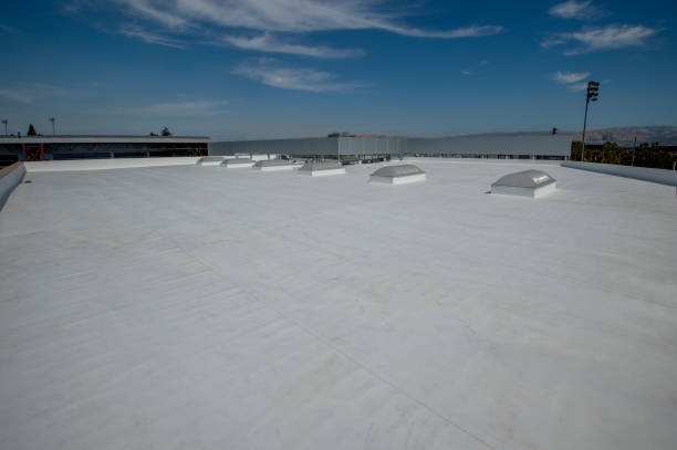 Roof Coating Services in Lexington, MI